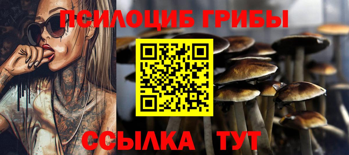 Псилоцибиновые грибы GOLDEN TEACHER  Вход с VPN  Абакан  Галлюциногенные грибы Cubensis 